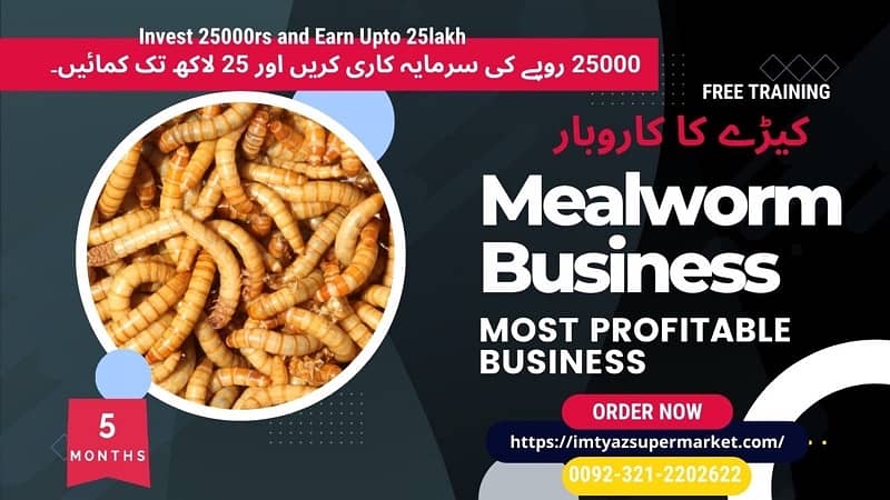 Drakling Beetle Larva | Rs 2 Each Mealworms | USA 03212-202-6-2-2 8