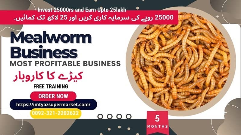 Drakling Beetle Larva | Rs 2 Each Mealworms | USA 03212-202-6-2-2 7