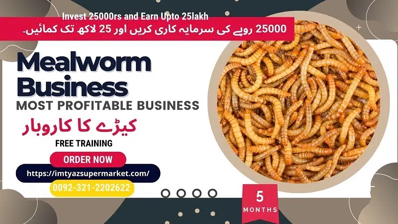 Drakling Beetle Larva | Rs 2 Each Mealworms | USA 03212-202-6-2-2 — photo 8