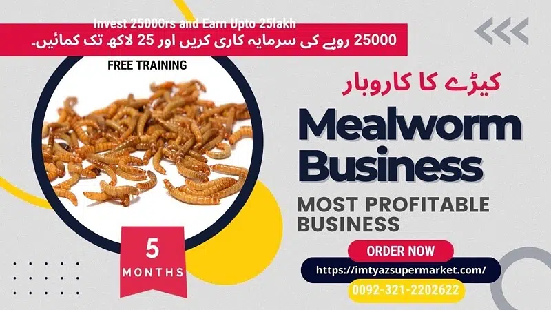 Drakling Beetle Larva | Rs 2 Each Mealworms | USA 03212-202-6-2-2