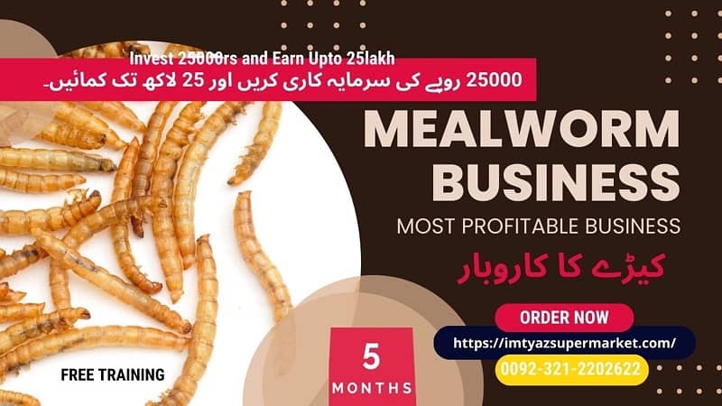 Drakling Beetle Larva | Rs 2 Each Mealworms | USA 03212-202-6-2-2 12