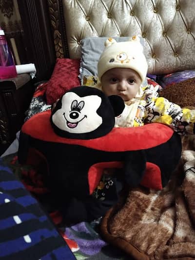baby sofa sitting seat