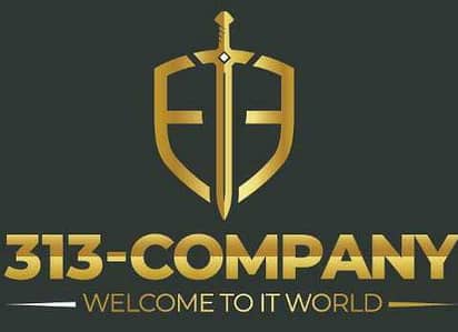 313-Company