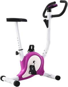 Exercise Bike with Belt Resistance Home Trainer Home 03020062817
