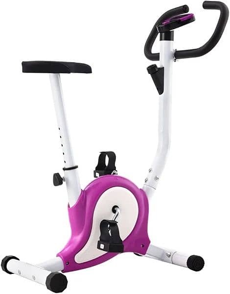 Exercise Bike with Belt Resistance Home Trainer Home 03020062817 0