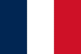 French language tutor/ correspondent / teacher