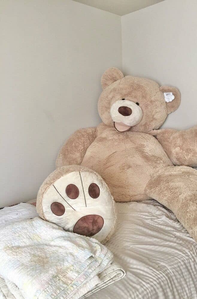 Teddy Bears / Giant size Teddy/ Giant / Feet Teddy/Big Teddy 3