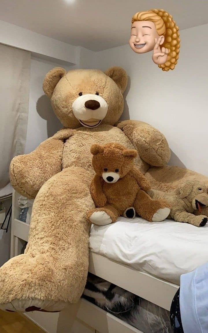 Teddy Bears / Giant size Teddy/ Giant / Feet Teddy/Big Teddy 4