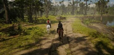 RED REDEMPTION 2 FOR LAPTOP/PC