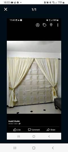 blind curtain with net 0