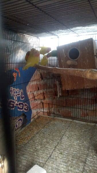 abdullahpur Faisalabad