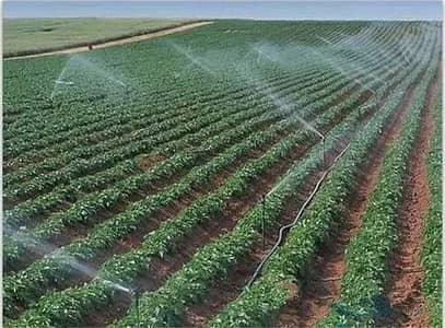 Drip Irrigation and Sprinkling System