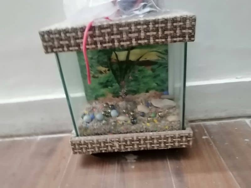 Aquarium for sale 2