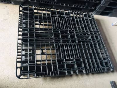 plastic pallet UAE