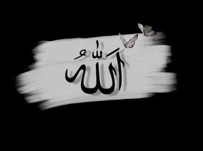 Meer Sufyan 