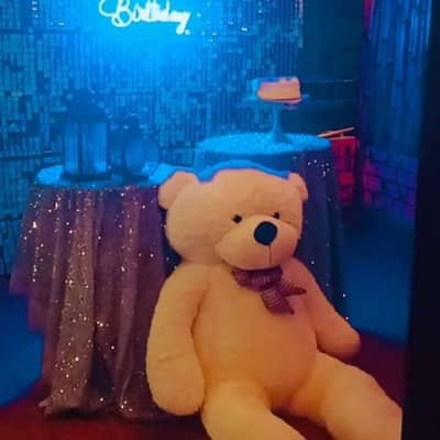 imported teddy bear/girl gift/giant medium teddy/kids