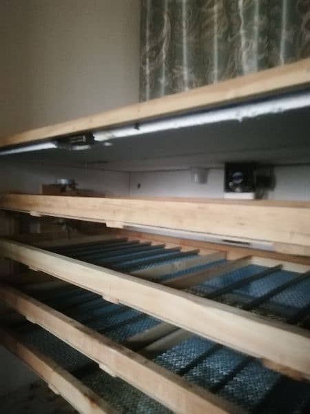 Fully automatic incubator 2