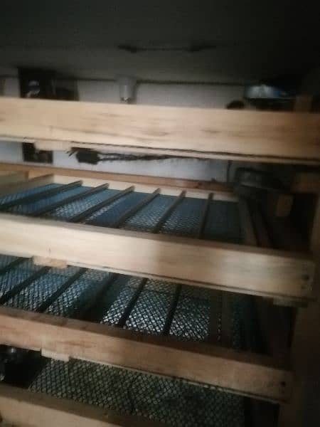 Fully automatic incubator 4