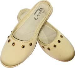 stylo shoe