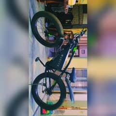 Electric bicycle bike with 2 components of Li ion batteries