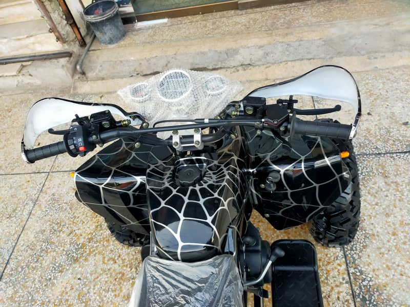 Sports Raptor 250cc Auto Engine Atv Quad Bike  For Sale In Pakistan 7