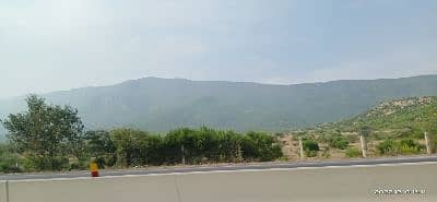 hashir