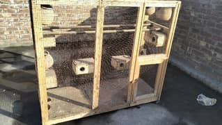 birds Pinjra