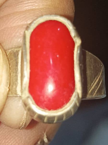 natural coral Marjan 7 carats 0