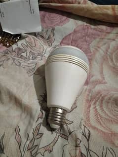 Bulb