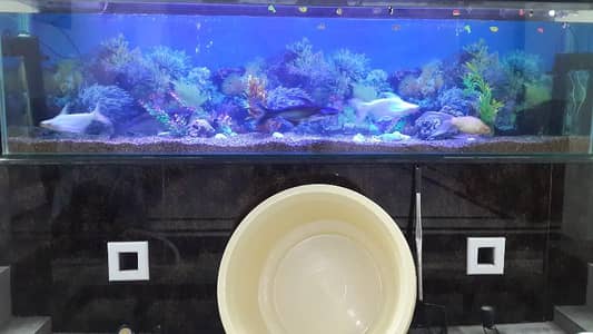 different price ha har aquarium ki