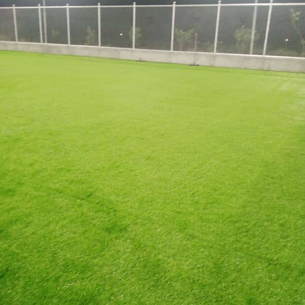 Artificial Grass 1