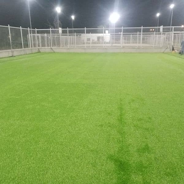 Artificial Grass 2