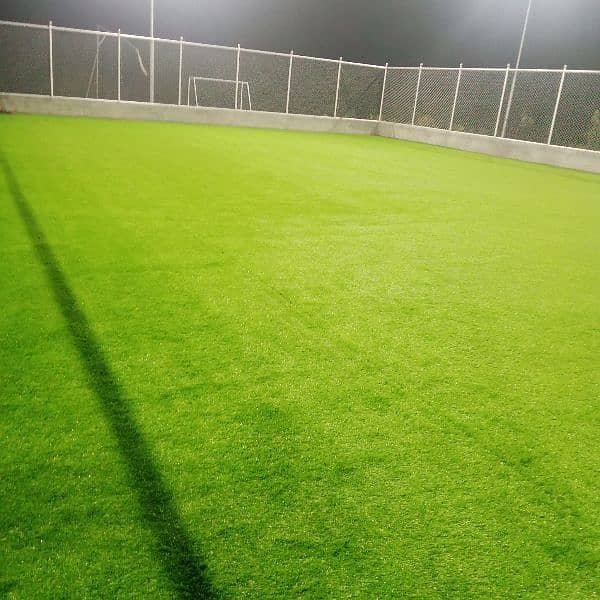 Artificial Grass 5