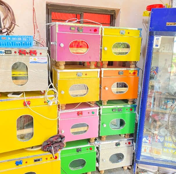 all types of incubator and brooder 12