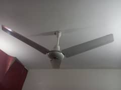ROYAL PERFECT CEILING FAN