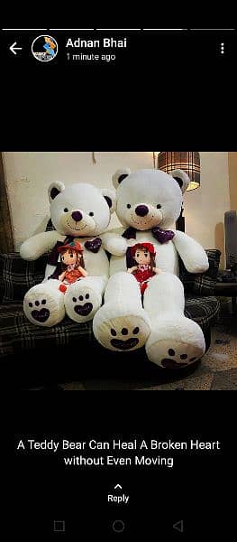 Teddy bears available 1