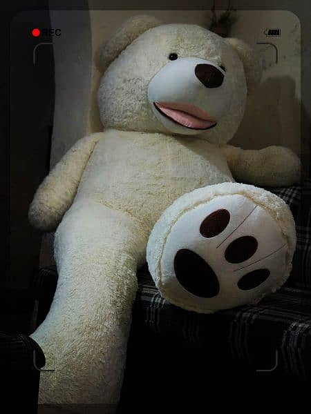 Teddy bears available 2