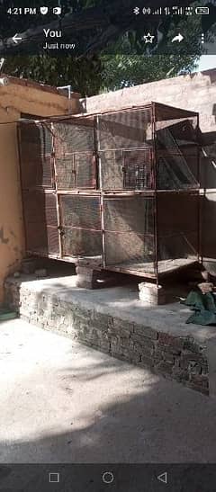 6 partition iron cage for sale