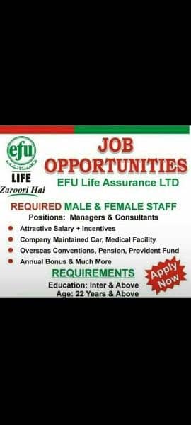 we are hiring staff 0