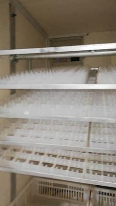 1000 egg Incubator Hatchery Turkey Hen Aseel Duck 0