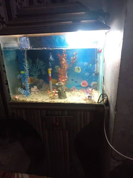 2 aquarium awesome complete 1