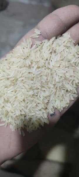 tota rice 1509 0