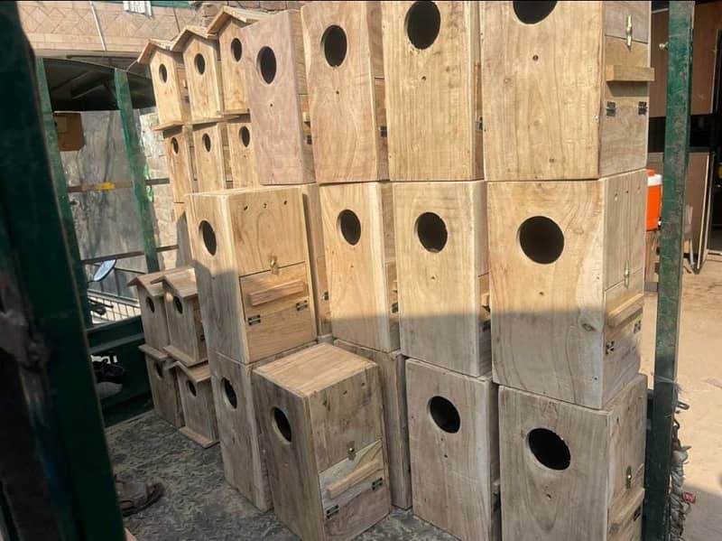 breeding boxes and cages 2