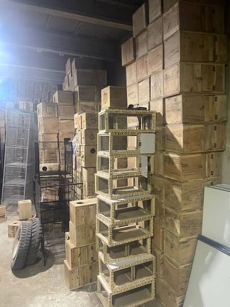 breeding boxes and cages 9
