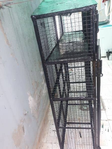 birds cage for sale 1