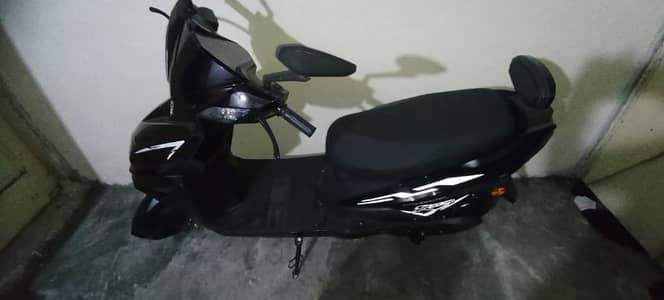 tropical plants for outside