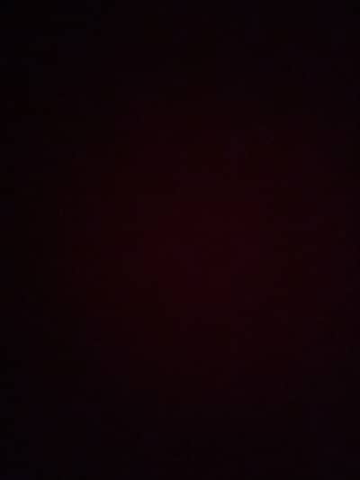 Female Experience Cook Required