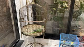 CAGE FACTORY New Golden Round all size Cages for all type of parrots 0