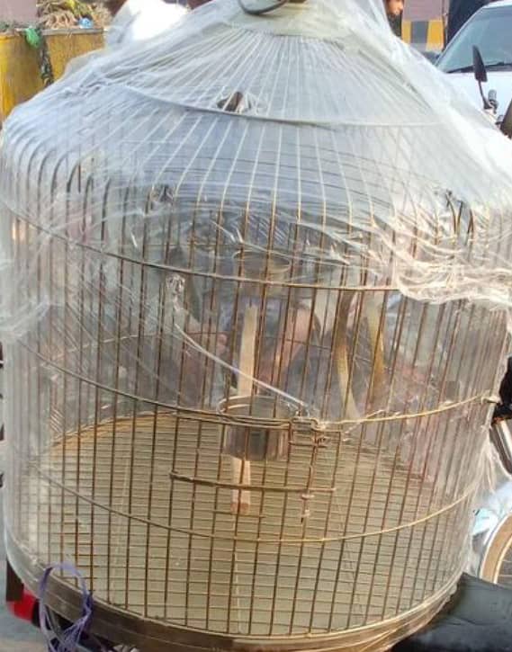 CAGE FACTORY New Golden Round all size Cages for all type of parrots 7