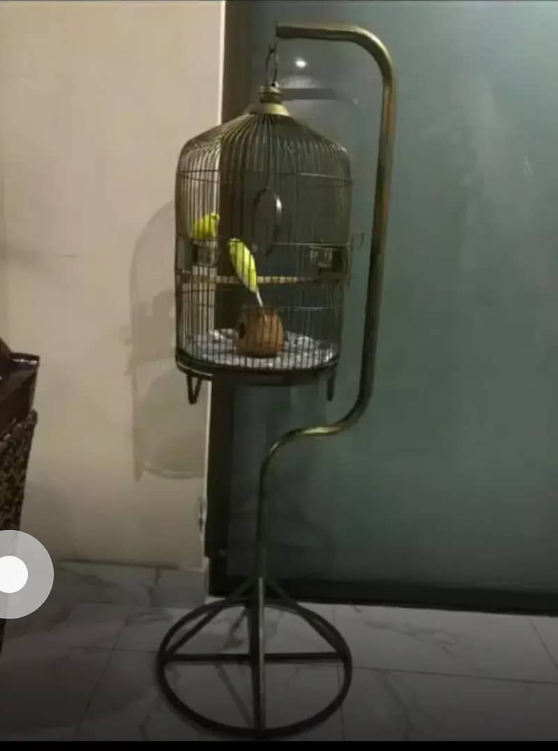CAGE FACTORY New Golden Round all size Cages for all type of parrots 14